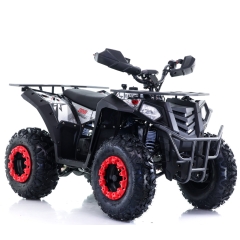 Mönkijä Viarelli Hunter 150cc 10" 60 km/h