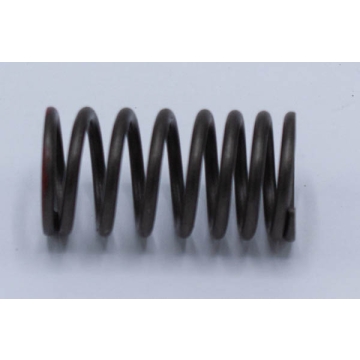 Ventil Fjäder Inre - Matador 4-Takt