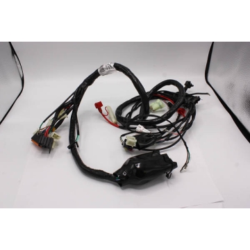 MAIN WIRE HARNESS EFI