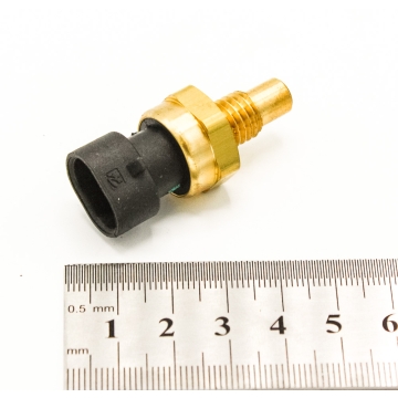The cylinder temperature sensor