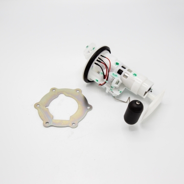 Vertical fuel pump assembly
