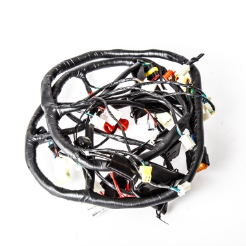 Main Cable