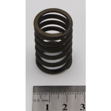 Outter valve spring