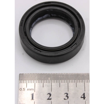 Oil Seal