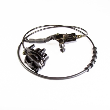 Rear Disc Brake Assy