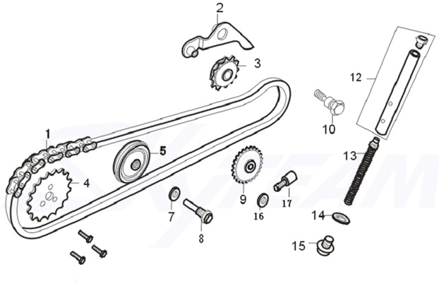 E11: Cam chain, tensioner